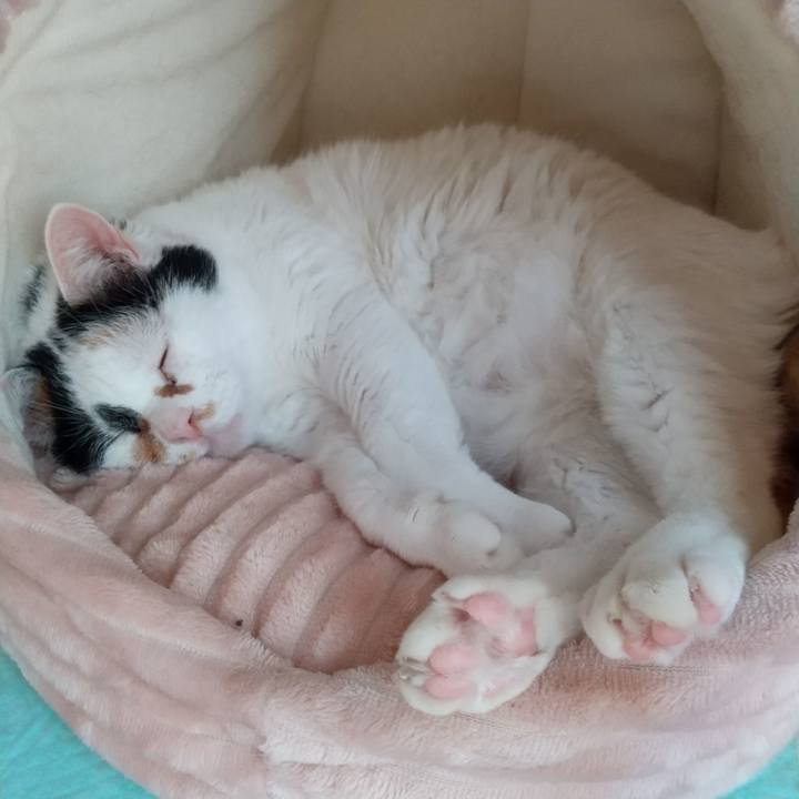 D87a6f67 1dce 476e 85e9 5113416aab8e 1636168947224