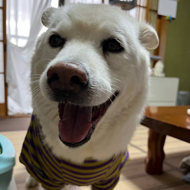 D87a82c5 e7a4 4eb9 bf97 a36d81adad3e 1762042128640