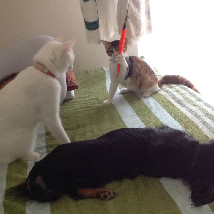 D87a903c 4840 48a4 b2f8 67c517f2cf74 1628318415435