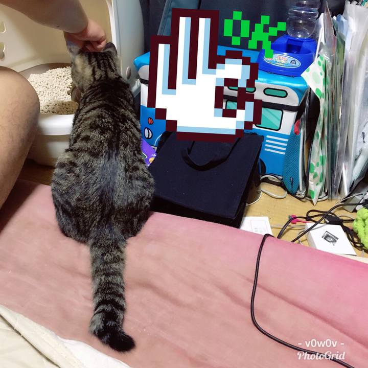 D87aae86 e29e 4fac b3ee ab4659f70b6a 1543688518111