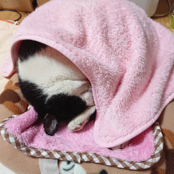 D87ad179 7535 4c8d b1e9 e6cb7860a1d9 1605014351146