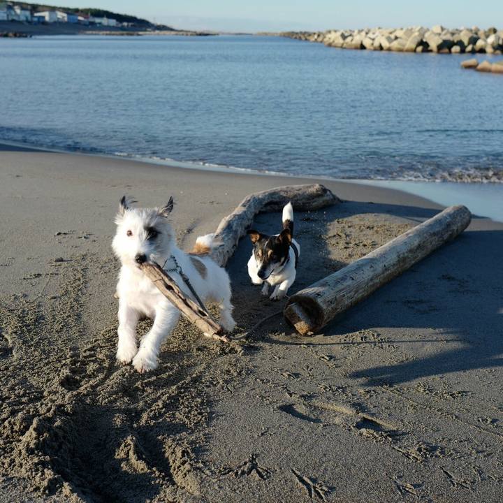 D87ada9e 4aea 4af1 ad5d c74ffa19cb04 1542345486437