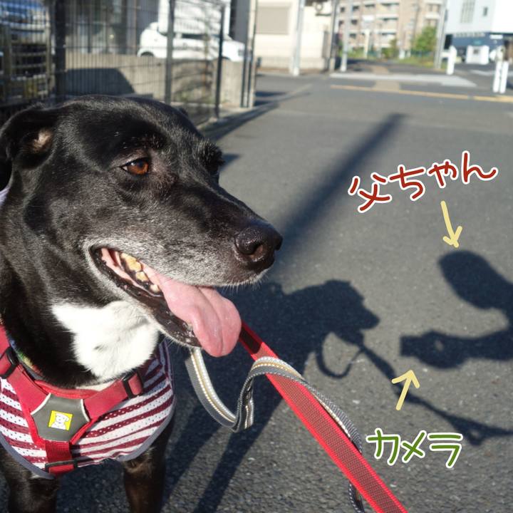 D87af85b d1a0 4438 95ac d5bb0a46181e 1690763520797