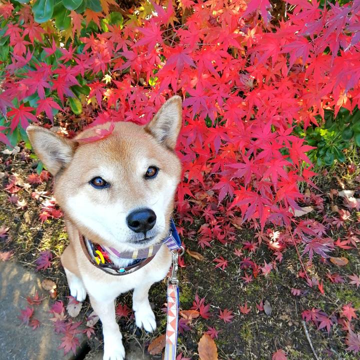 D87b0ec8 1847 4ae6 bc7e bb5bdd67ff86 1670634482740