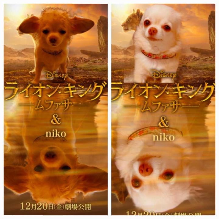 D87b1c1f 4d6d 4c92 a5de d1669d2a0317 1734659421484