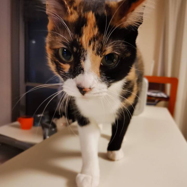 D87b29c9 c0ce 4f24 b492 3bdc35d59069 1608301699212