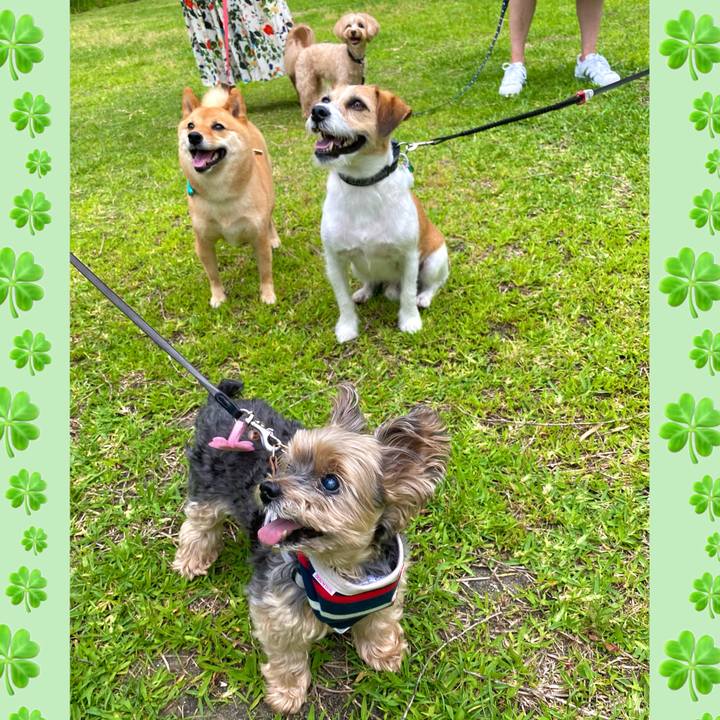 D87b5b41 f36f 4c11 a486 fd3b7bc7b93f 1623758482945