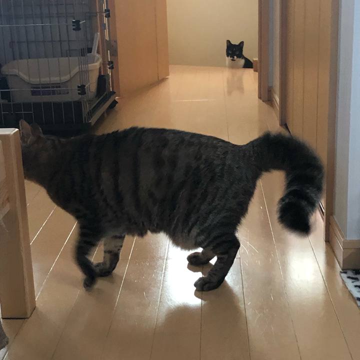 D87b8306 13b1 43e3 acb7 46141501ff8f 1552945998976