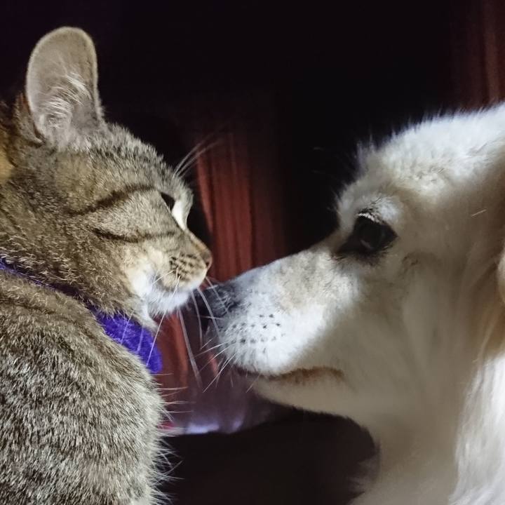 D87b84fb 825c 455a aca3 53e261abe322 1553634990168