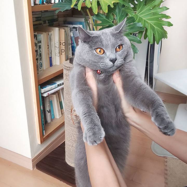 D87b93c1 82c3 4613 aee3 ee265ff8afe5 1536109311514