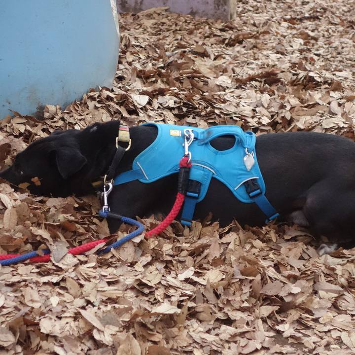 D87bb0e9 b980 459d b1a5 4fedc8ce253f 1607560912210