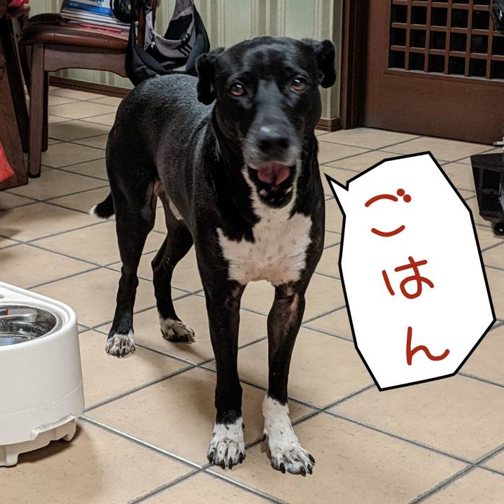 D87bd69c c92f 46ad a204 5a7374a4697f 1644057743567