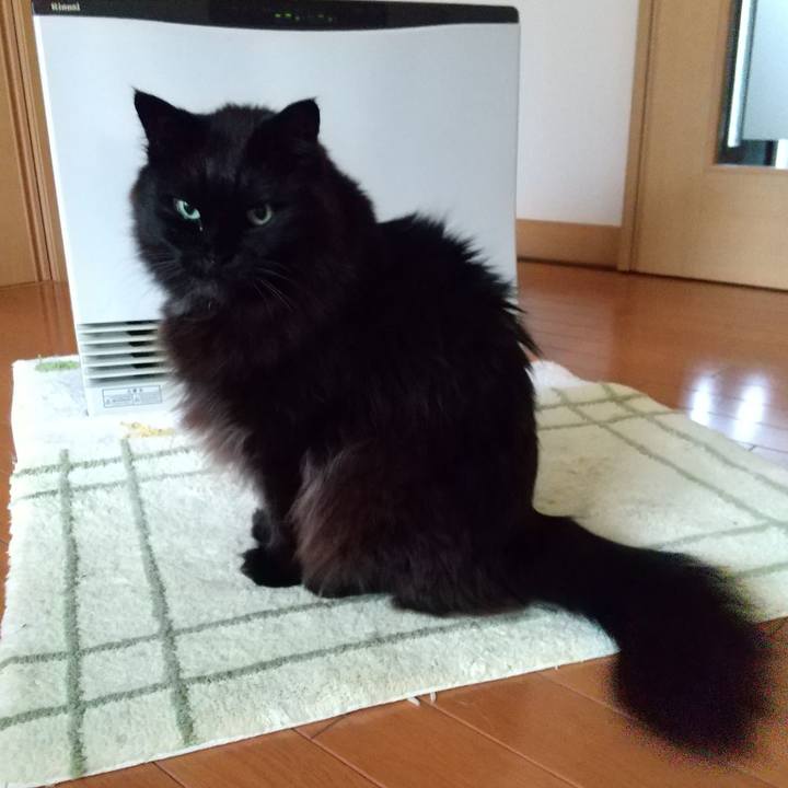 D87bde33 f0da 4bba b70d e95a8ae658ba 1618612681441