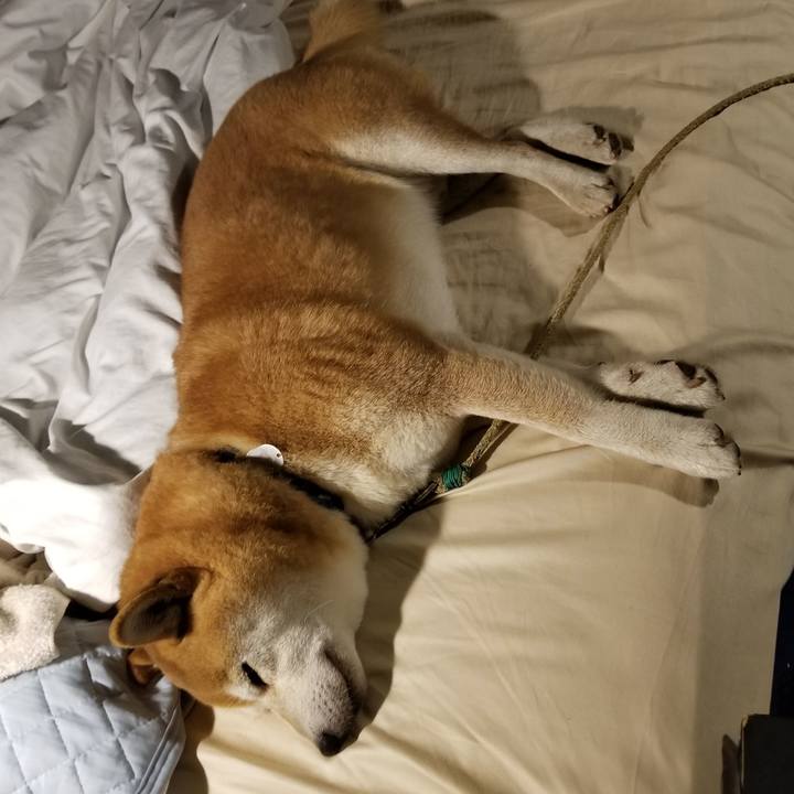 D87bdfdf 5694 471c a108 b8044ca8e443 1569066296147