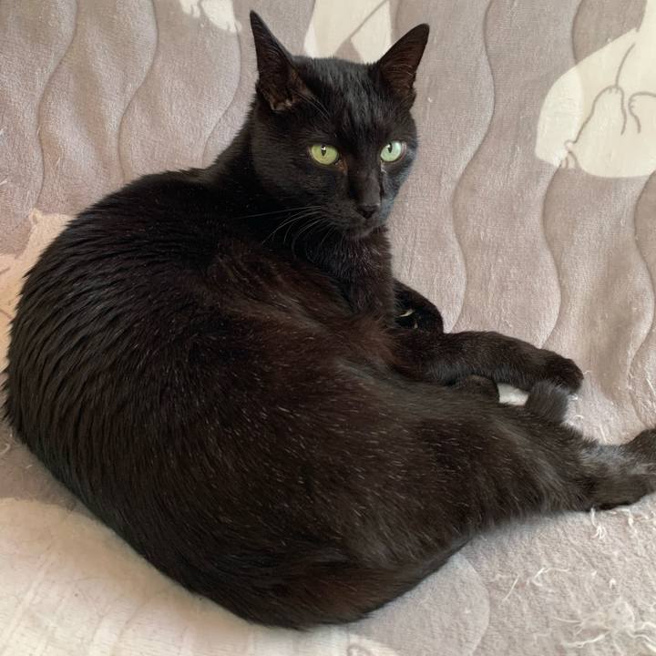 D87beac4 0b13 4834 bd27 bc7695b59720 1578016060199