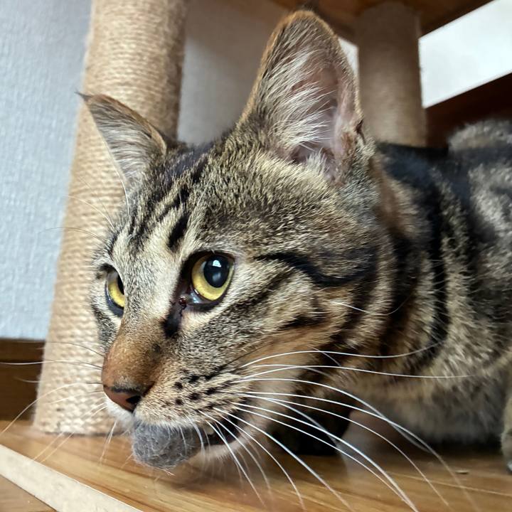 D87c28a3 c664 4a6c b30a eb5f2e8c2d08 1747466282196