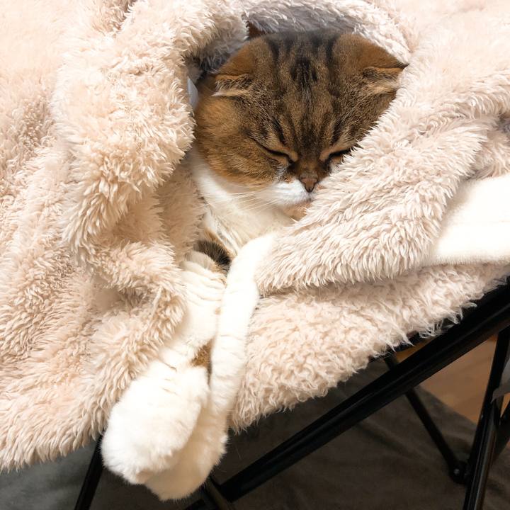 D87c3ff0 6d85 49f8 9b2f 933c6a09c02b 1545979705418