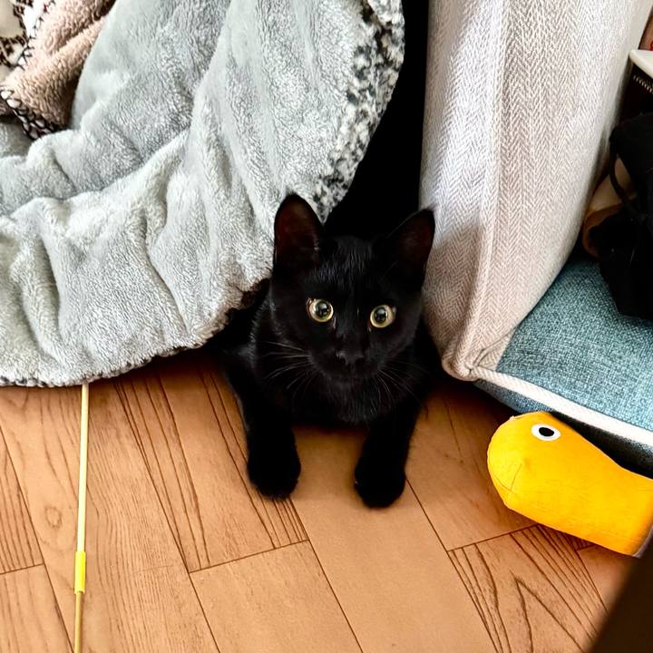 D87c4353 be61 49df a7df 7f10b744264c 1733098523888