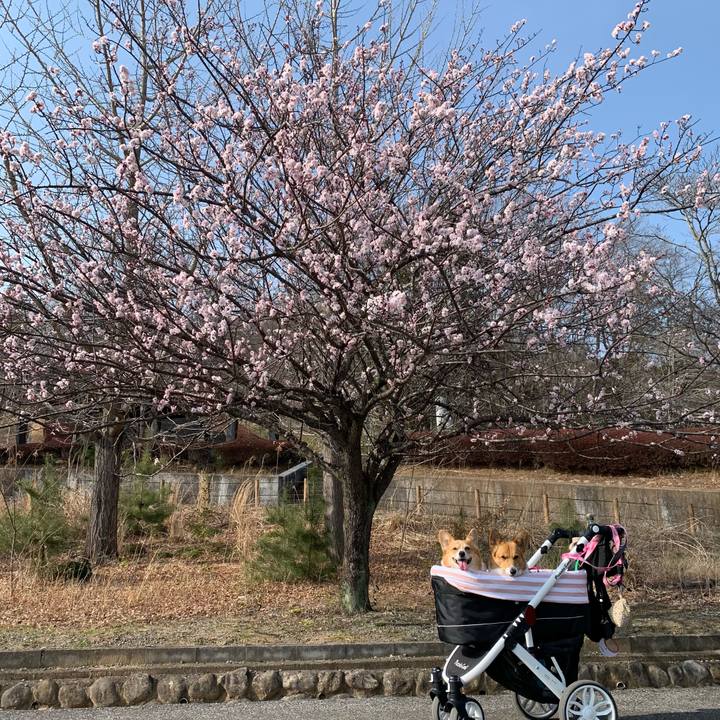 D87c809b f9e8 416b b3e1 207cb921513f 1647157210382