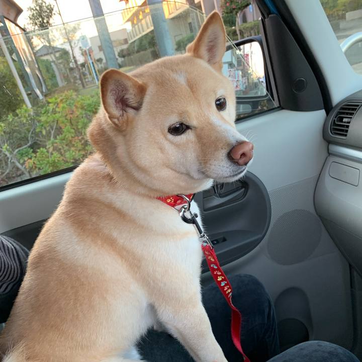 D87ce81e 316b 442b 8b89 183a017c0b9b 1639309911811