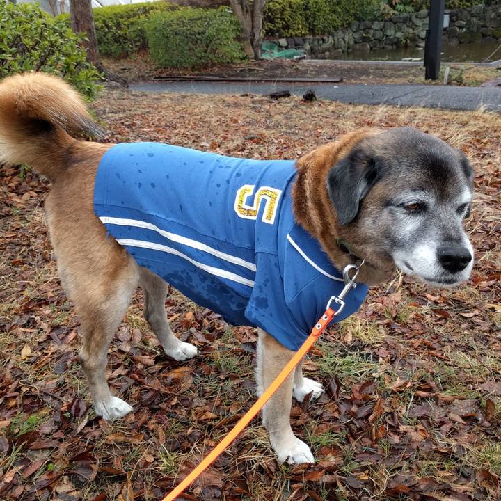 D87cea7c bbce 41c7 98f1 679cd3bbc055 1551918930316