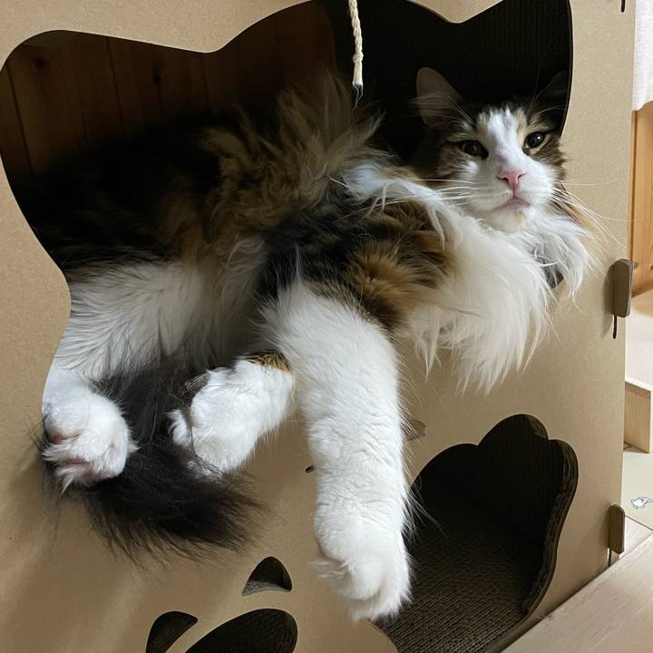 D87cf7a4 78fa 4ccf 9809 601374f1bc0c 1683921473183