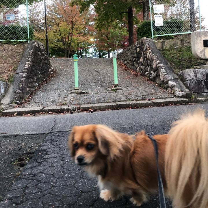 D87cfb16 e183 4f45 92a9 78c670c36a32 1539641981856