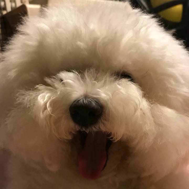 D87d4970 e4f7 453f 9bfd 15fb573ead4f 1534686425431