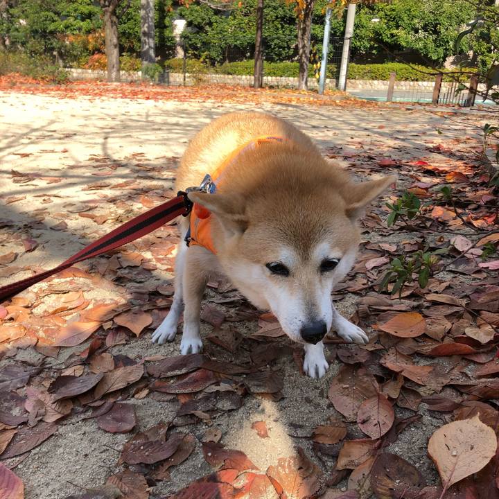 D87d56a8 47a1 4a99 bafc 2a8cb055e1e2 1576140200740