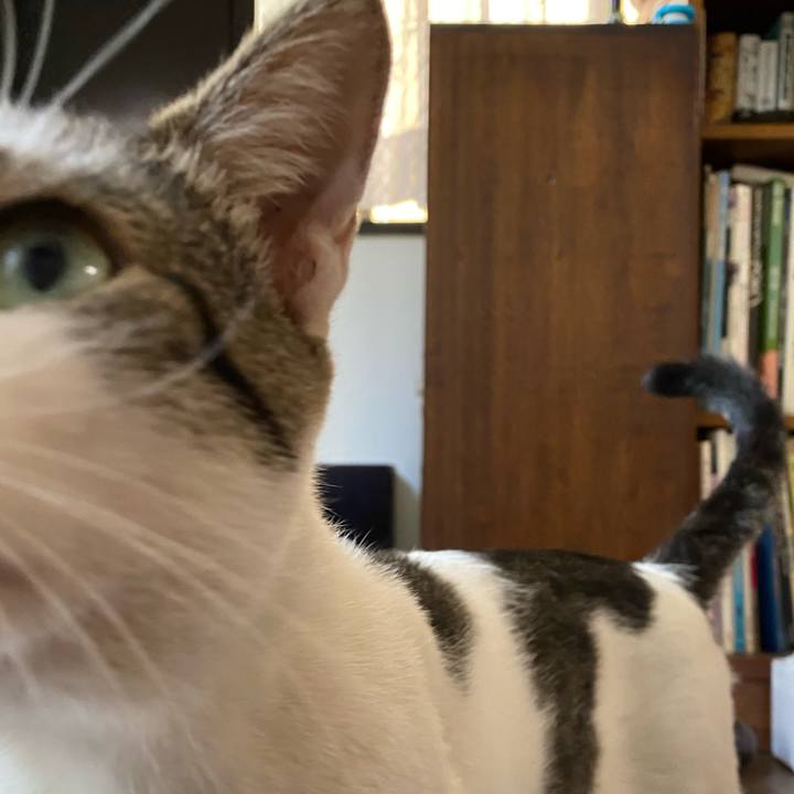 D87d6bb7 6915 4c91 9214 c97e2cef573c 1598451001486