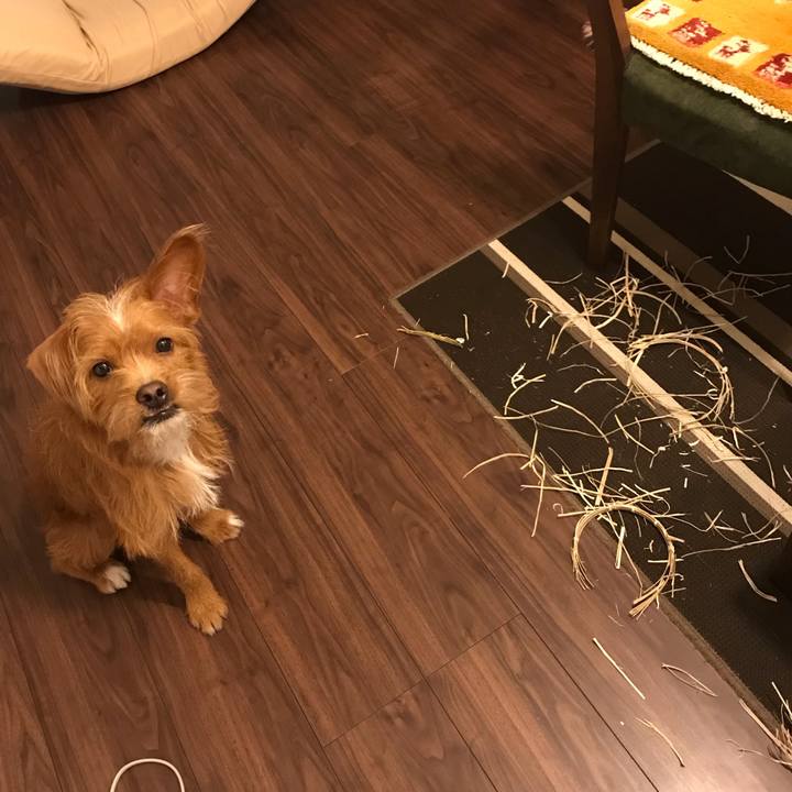 D87d6d1a 813c 4cba 8d96 5dd806582849 1542099400304