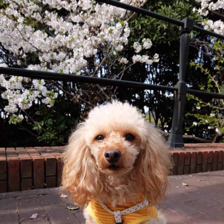 D87d9d07 fb63 41ea af54 fd8831920286 1553850841370