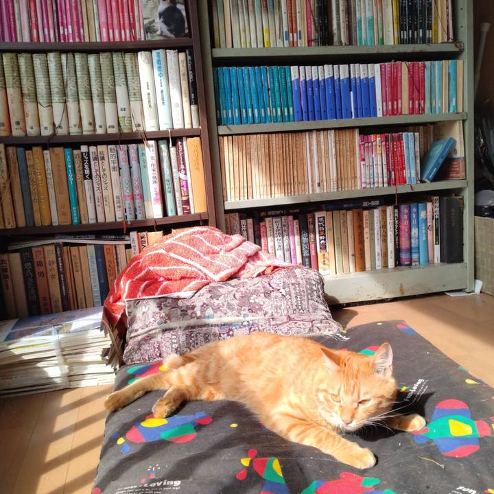 D87db8be 023d 4216 b144 c16e0ade9ad3 1664326395905