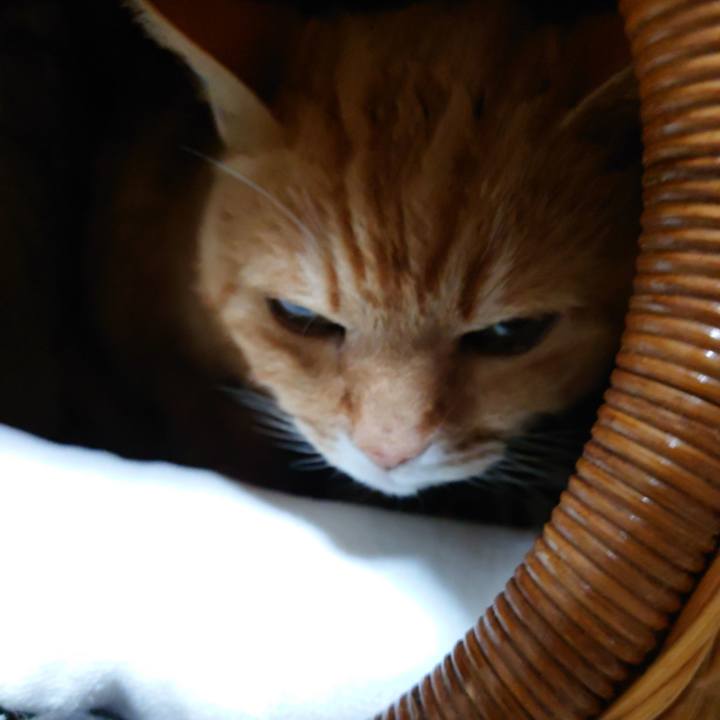 D87deb9f 4c50 46d6 b28a 803f527dd932 1770767112631