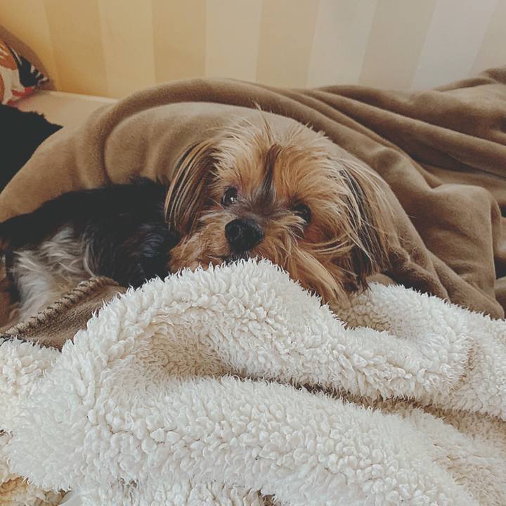 D87e37b3 0f7d 4797 8b7d 857b5282e9b0 1579306722169