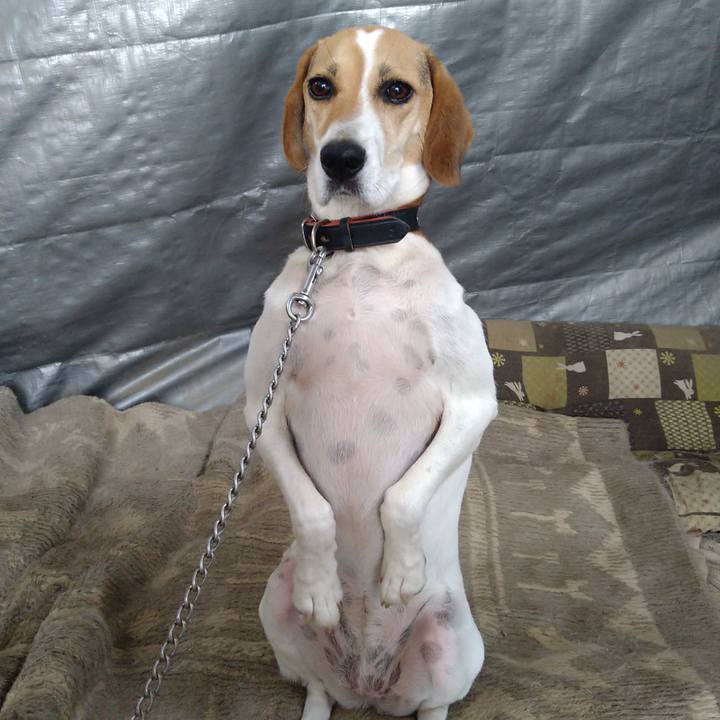 D87e6c00 86fe 4a02 bbe8 fe6b431de643 1629011688588