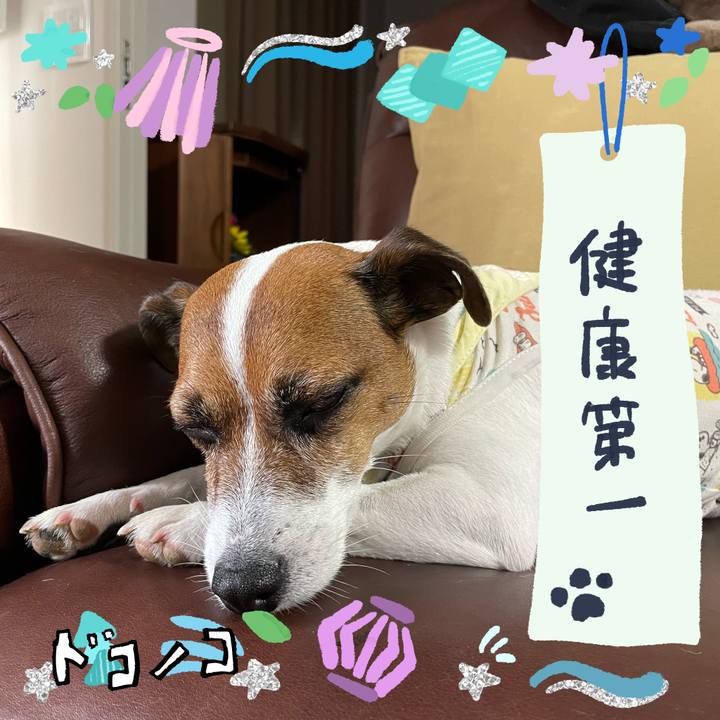 D87e7feb f747 4d74 a1e5 50d5a902b284 1720763026565