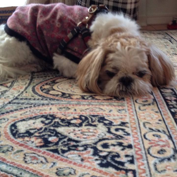 D87eee02 9cd8 4cb2 b93d b1560fab3869 1514411419619