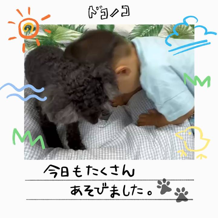 D87ef2c5 48e5 46f1 b773 194e465749fa 1755422544082