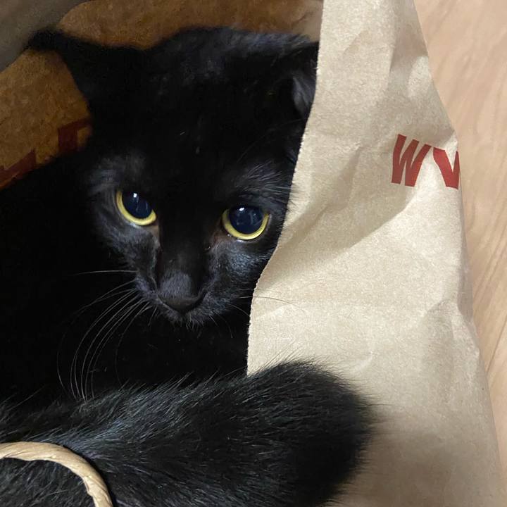 D87efe5c 8643 433e 9a2e 3428757cdd01 1629632025705