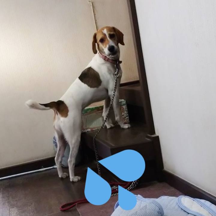 D87f0db2 8d9c 49e8 be47 7d9e8ea46511 1596726194245