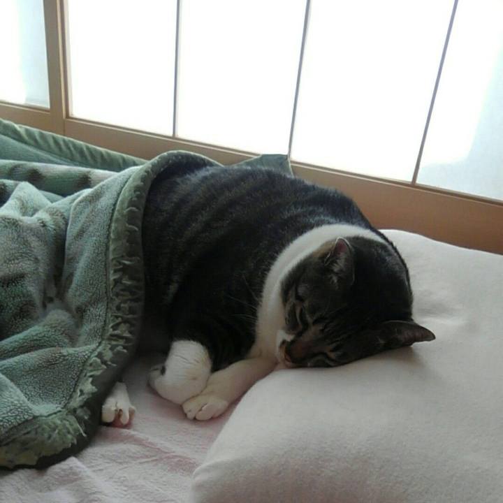 D87f3477 8f4d 4827 93e7 648ab3afba5d 1537399647939