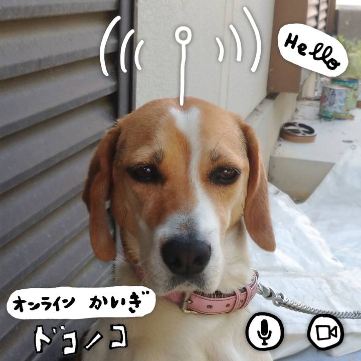 D87f53ac 9024 43ca bd00 7ec70e6ae68e 1593587174503