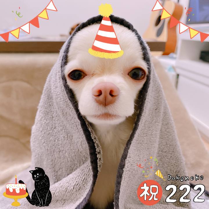 D87f6a0d aba9 48df bd6e 4f8e717d029d 1645505825592