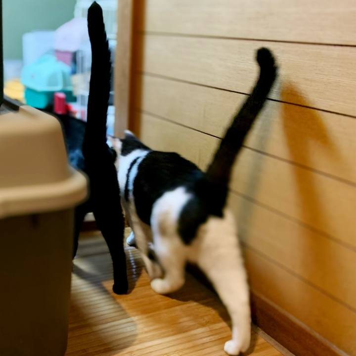 D87f6db9 1091 40e4 92ec a7d15910642b 1596417657121