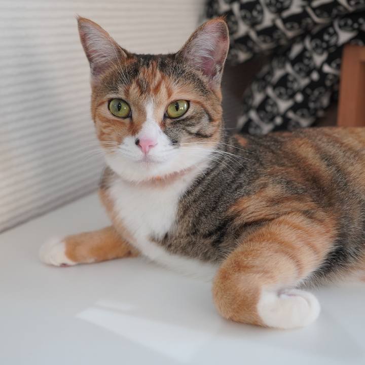 D87f754c 6319 4d45 a77c d13e889f9f25 1598313746404