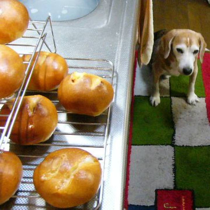 D87f8125 222d 4faa b85c 61fa2f05697d 1659656858937