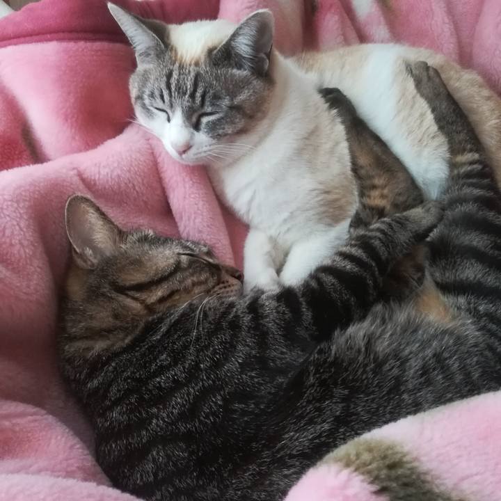 D87f8d5f e710 463e 8261 2585f4f39940 1522625343792