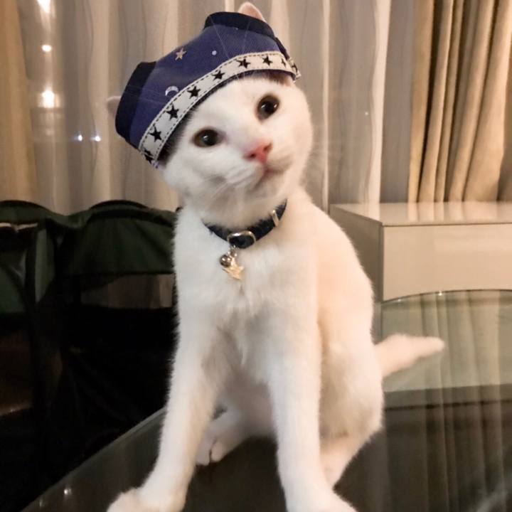 D880062c 699c 4799 9966 f0bbd4517076 1570186899253