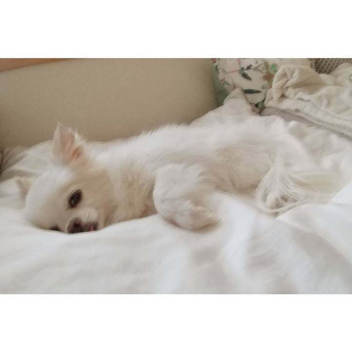 D880238b 5969 434d 9a5a d9c9fa295a1b 1658559772091